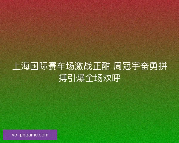 上海国际赛车场激战正酣 周冠宇奋勇拼搏引爆全场欢呼